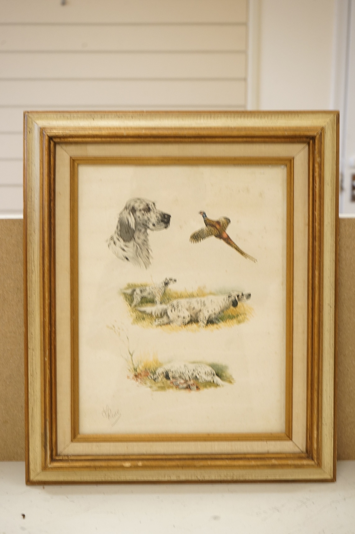 Boris Riab (Russian, 1898-1975), Studies of English Setters and game, signed in pencil, copyright by C. H. Druher, Paris, colour lithograph, 34 x 26cm